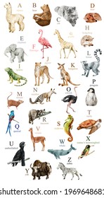 Watercolor cute animals alphabet for kids education. 