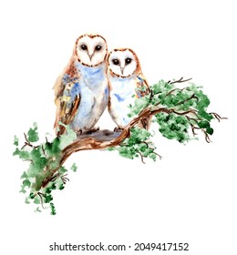 Watercolor Cute Barn Owl Couple Painting Illustration