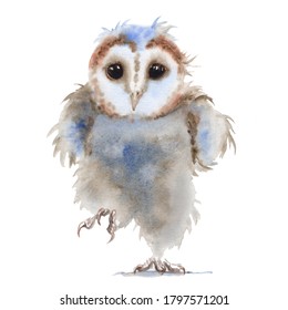 Watercolor Cute Barn Owl Painting