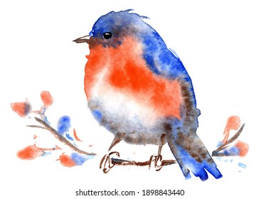 Watercolor Cute Blue Orange Bluebird Painting Illustration