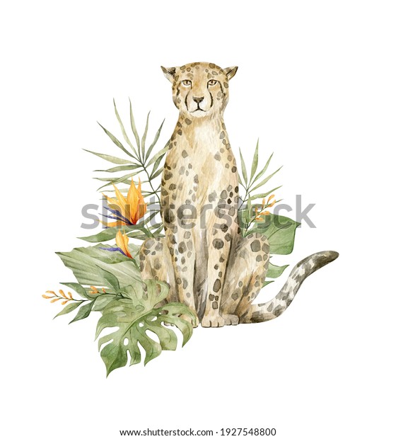 22,985 Cheetah Portrait Images, Stock Photos & Vectors | Shutterstock