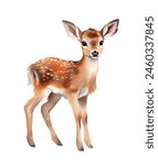 Watercolor cute deer, forest. Illustration clipart isolated on white background.