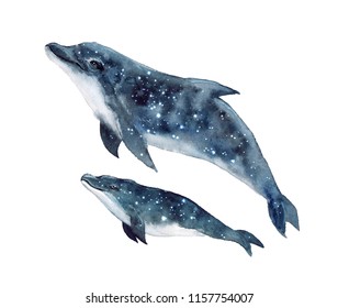 Watercolor Cute Dolphins On The White Backgound