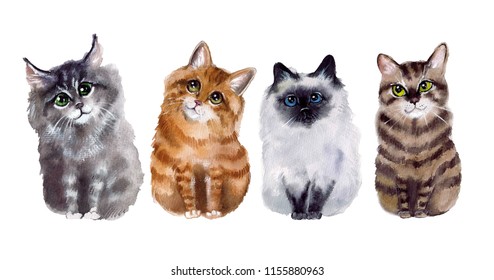Watercolor Cat Images, Stock Photos & Vectors | Shutterstock