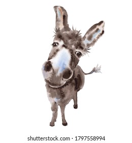 Watercolor Cute Funny Donkey Painting