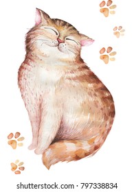 水彩可愛い猫イラスト バレンタインカードの愛猫キャラクター 図画法人 のイラスト素材