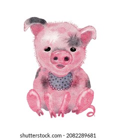 Watercolor Cute Little Piglet Farm Animal Painting Illustration