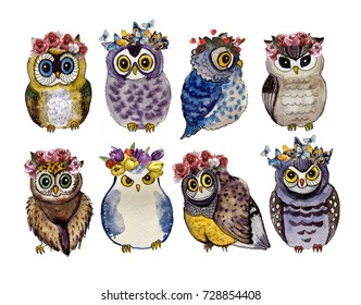 Watercolor cute owls and flowers the white background  Watercolor graphic for fabric  postcard  greeting card  book  poster  tee  shirt  Illustration  isolation objects
