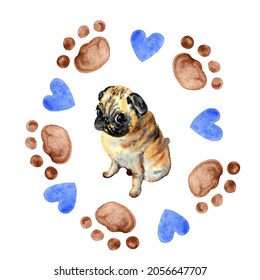 Watercolor Cute Pug Puppy Dog illustration Painting