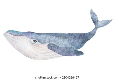 Watercolor Cute Purple Whales On White Stock Illustration 2104326437 ...