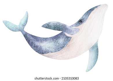 Watercolor Cute Purple Whales On White Stock Illustration 2105310083 