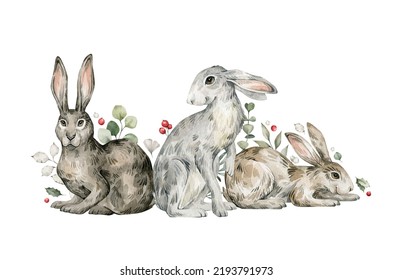 Watercolor Cute Rabbits, Hares, Plants. Forest Baby Animals, Berries, Pines, Leaves. Wild Woodland, Nature Scene. Wildlife Creatures