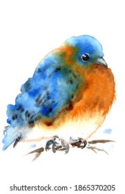 Watercolor Cute Winter Bluebird Painting