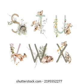 Watercolor cute woodland alphabet. Hand painted letters, numbers with field greenery, wildflowers, forest animals. Font with rabbit, bear, deer, squirrel, fern. Nursery, kids illustration for print - Powered by Shutterstock