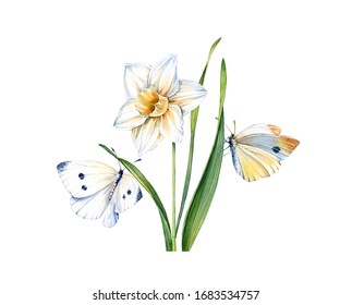 210,782 Daffodil flowers Images, Stock Photos & Vectors | Shutterstock