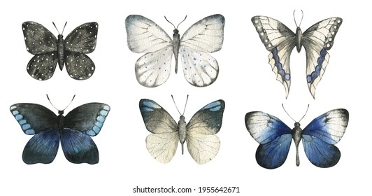 Watercolor Dark Blue Butterfly Clipart. Summer Moth. Perfect For Wallpaper, Paper, Textile, Wedding, Nursery And Other Design. Wedding Invitation. Isolated On White Background. Scrapbooking.