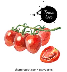 Watercolor datterino tomatoes. Isolated eco food illustration on white background