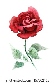 Watercolor Deep Red Rose.