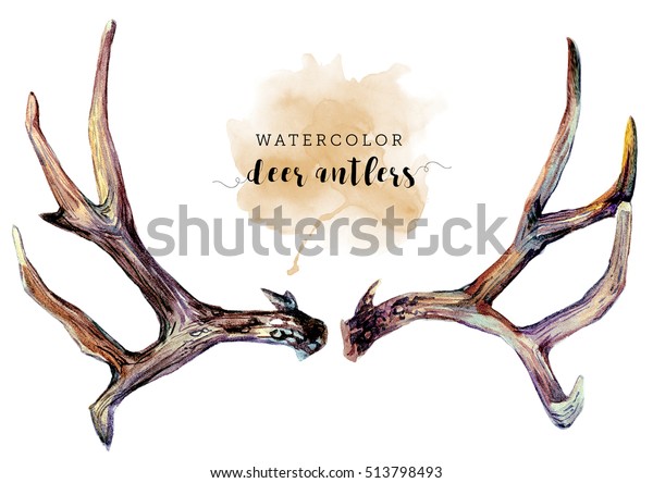 Watercolor Deer Antlers Isolated On White Stock Illustration 513798493