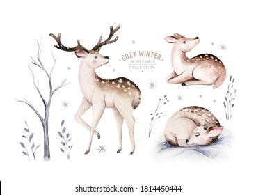 Watercolor Deer With Fawn, Rabbits, Birds Isolated On White Background. Wild Forest Animals Set. Hand Painted Winter Illustration