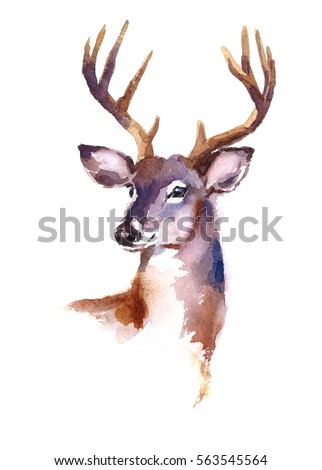 Watercolor Deer Hand Painted Illustration isolated on white background