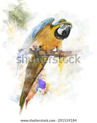 Watercolor Digital Painting Of  Colorful Parrot