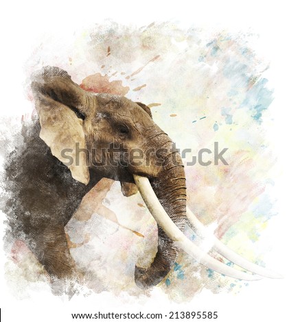 Watercolor Digital Painting Of  Elephant