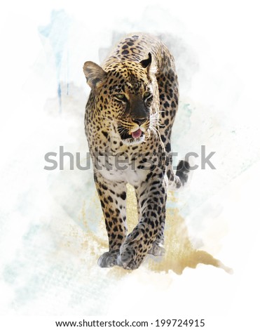Watercolor Digital Painting Of  Leopard 