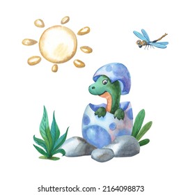 Watercolor dinosaur baby in egg.  Animal kid, sun, dragonfly, stone and green plants. Izolated illustration on white background. Watercolour print for children.