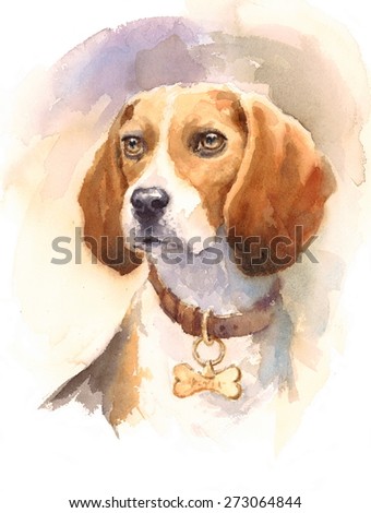 Watercolor Dog Beagle Portrait - Hand Painted Animals Pets Illustration isolated on white background