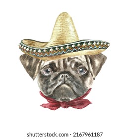 Watercolor dog breed pug illustration, dog head hipster portrait - Powered by Shutterstock