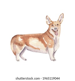 コーギー犬 イラスト の画像 写真素材 ベクター画像 Shutterstock