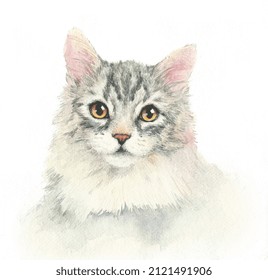 Watercolor Dog Watercolor Illustration Pet Cat Animal