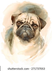 Watercolor Dog Pug Portrait - Hand Painted Illustration of Pets