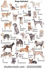 Watercolor Dogs Alphabet. Dogs ABC Poster. Dog Breeds From A To Z. Nursery Wall Art, Kids Room, Play Room Decor. Educational Classroom Printables. Teachers Supplies. Handpainted Handdrawn Animals Pet 