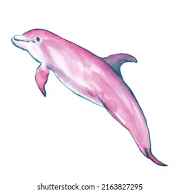 Watercolor Dolphin Clipart Illustration Isolated On Stock Illustration ...