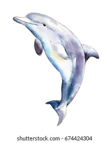 Watercolor dolphin,  hand-drawn illustration isolated on white background.