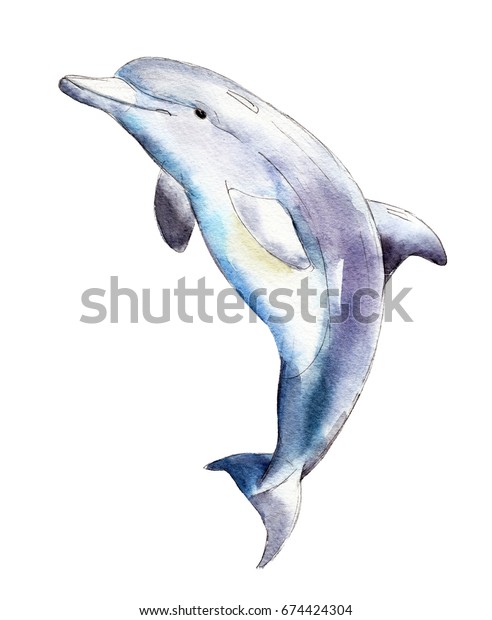 Watercolor Dolphin Handdrawn Illustration Isolated On Stock Illustration Shutterstock