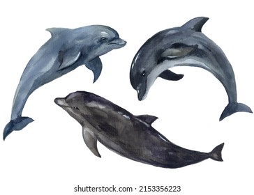 Watercolor dolphins illustartion  Watercolor cute sea life  Atlantic ocean  Watercolor cute dolphin  Nautical animals drawing  Design funny animal