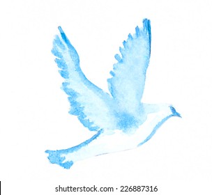 Watercolor Dove 