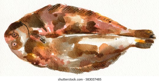 Watercolor Dover Sole Fish