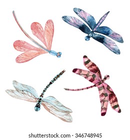 Watercolor dragonfly set isolated on white background. Hand painted illustration