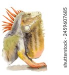 watercolor drawing of animal - color iguana, sketch