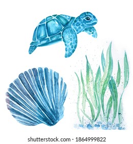 Watercolor Drawing Art Illustration Of Turtle, Shell, Sea Art.