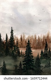 Watercolor Drawing. Autumn Spruce Forest.