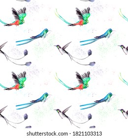 quetzal flying drawing