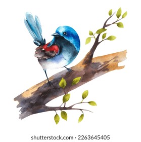 Watercolor drawing bird tree branch  A beautiful bird sits tree branch 
