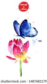 Watercolor drawing blue butterfly on a flower. Beautiful blue butterfly drinks nectar from a flower