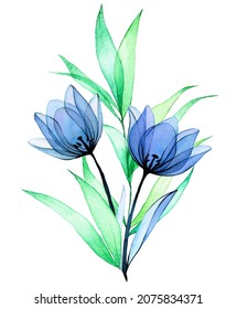 watercolor drawing  bouquet  composition transparent flowers   leaves  blue flowers tulips in vintage style 