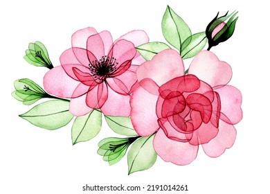 watercolor drawing  bouquet  composition transparent flowers   rose leaves  pink rose x  ray
